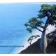 A3 personalised Photo Book deal by Photo box product image