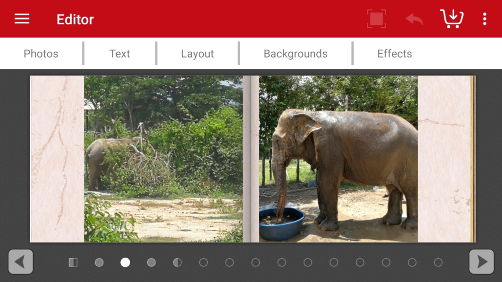 Page view of the CEWE photoworld app designing a photo book with pictures of elephants