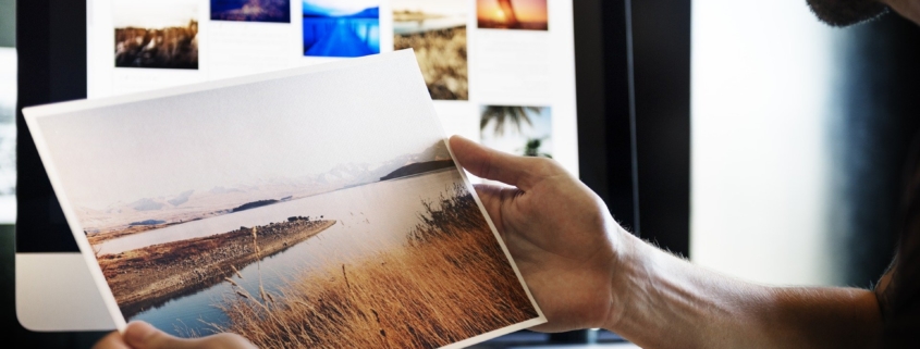 Person looking at photograph in front of a laptop showing a variety of photos